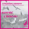 Animal Debout - Suivre l'oiseau / Micro Sillon - Quand la radio trompe l'oreille