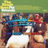 Unpoco too much The Beach Boys Pet Sounds cover